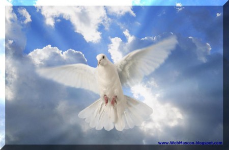 ..e viu o Espirito Deus descendo como pomba..